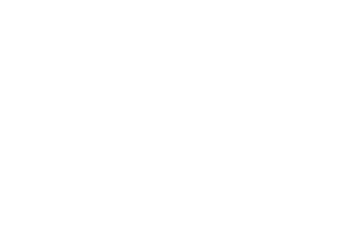 Tl Logo White